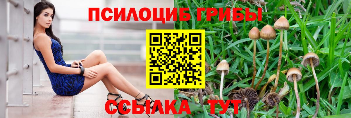 Галлюциногенные грибы Psilocybe  Псилоцибиновые грибы Cubensis  Вход с VPN  купить  сайты  Унеча 