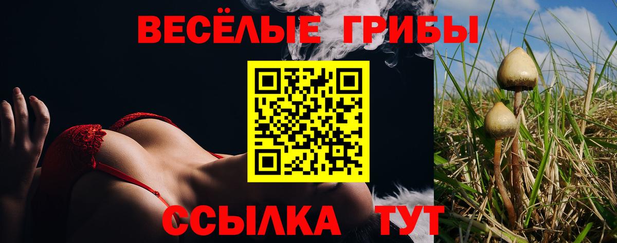 Галлюциногенные грибы GOLDEN TEACHER Унеча